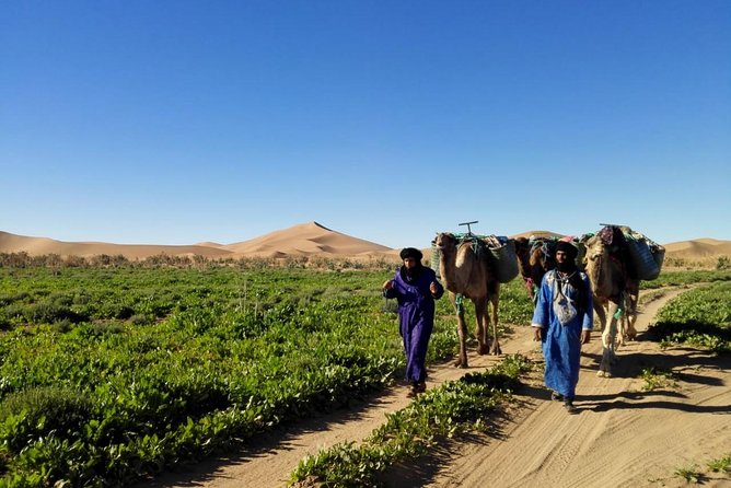 4 Days Trekking To The Heart Of Desert - Day 2: Exploring the Desert Landscape