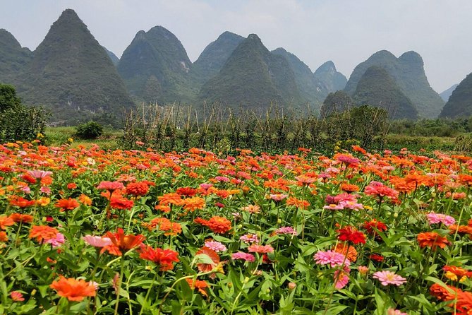 4-Days Yangshuo and Guilin Tour From Guilin - Day 2 Highlights