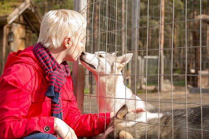 4-hour ATV, Huskies and Reindeer Farm Visit in Rovaniemi, Finland - Interact With Majestic Reindeer