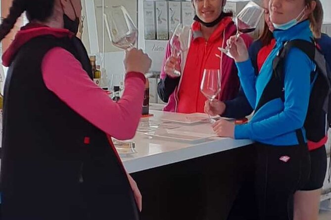 4-Hour Guided E-bike Tour of the Two Wineries in Bardolino - Winery Visits