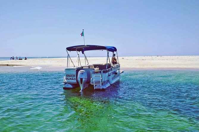 4-Hour Private Boat Tour in Ria Formosa - Environmental Education