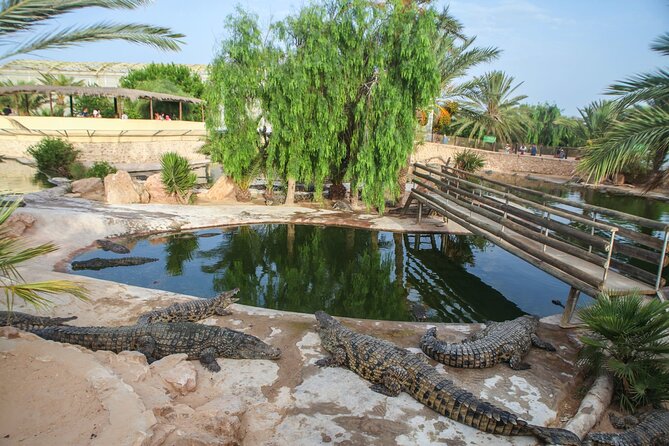 4-Hour Tour With Crocodile Encounter in Djerba Island - Crocodile Encounter Details