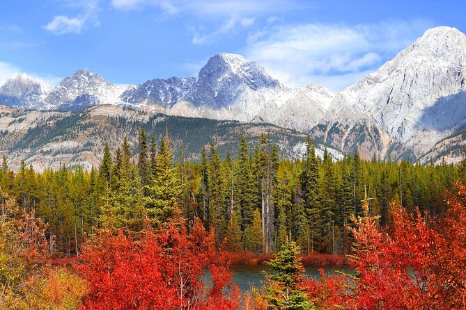 4 Hours Private Tour in Kootenay Plains Trails - Scenic Stops and Photography Opportunities