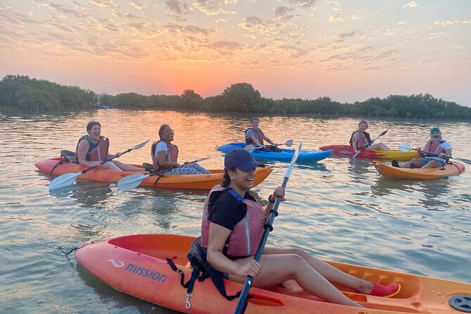 4 Hours Purple Island Mangroves Kayaking Adventure in Qatar - Tour Experience Details