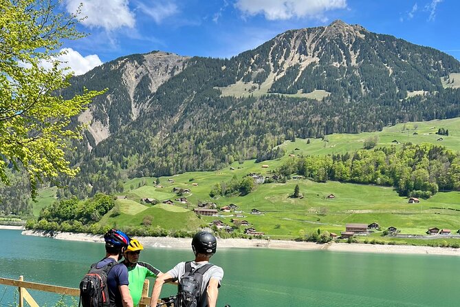 4 Lakes E-Bike Guided Tour and Lake Cruise - Inclusions