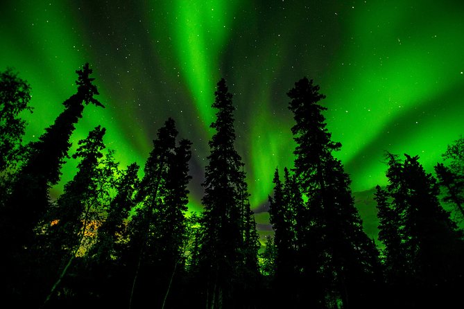 4- to 6-Hour Northern Lights Tour From Yellowknife - Included Services