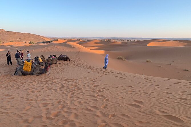 44 Jeep Desert Safari Tour With Lunch and Camel Ride - Safety Measures and Guidelines
