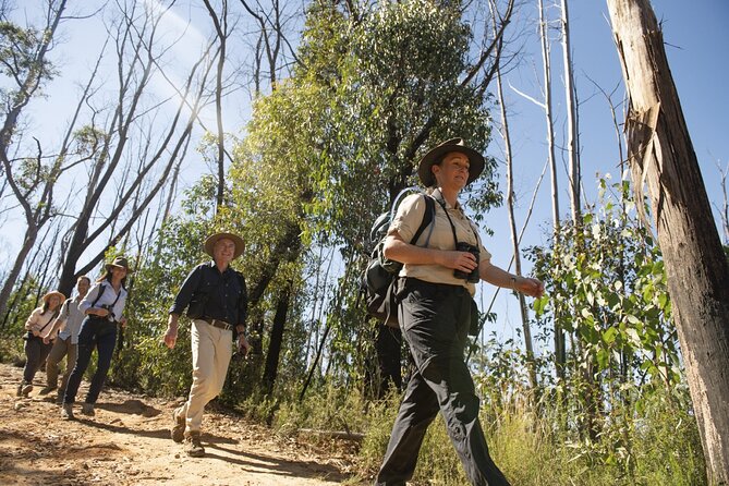 4Hrs at Wolgan Valley Birdwatching Experience - Meeting and Pickup Information