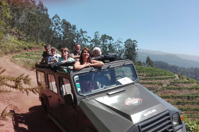 4x4 Safari Half Day Poncha, Mountains, Vineyards and Cabo Girão Small Group - Traveler Reviews