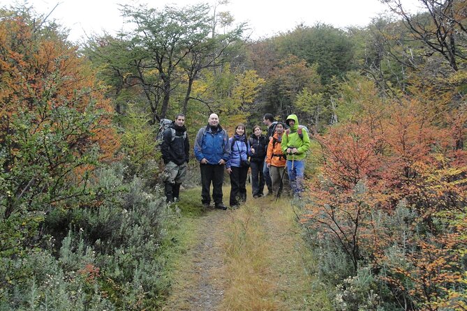 5.5-Hour Nat Park W/ Hiking *Shore Excursion* USHUAIA (Shared Tour for Cruises) - Booking Information and Policies