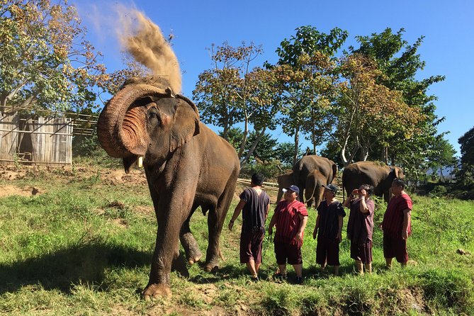 5 Day Tuk Tuk Adventure in Chiang Mai - With Driver - Tuk Tuk Accommodations