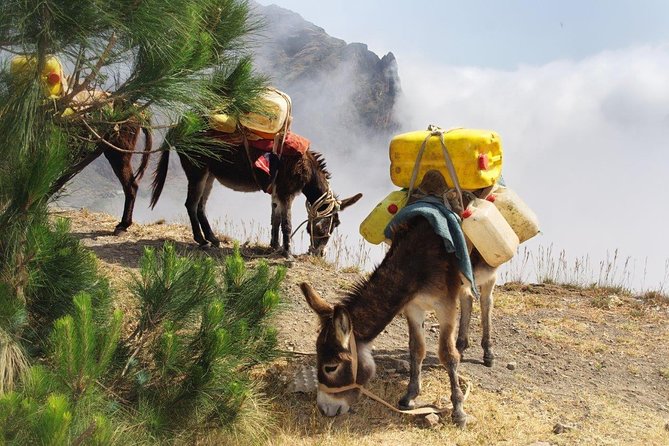 5 Days Cape Verde Sao Vicente and Santo Antao From Sao Vicente - Itinerary Highlights