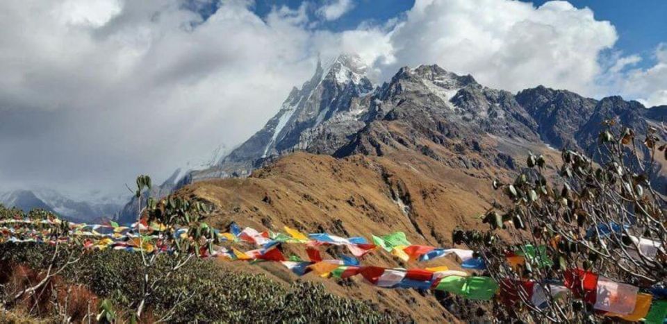 5 Days Mardi Himal Trek: From Pokhara - Trek Experience