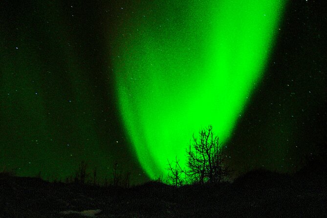 5 Days Northern Lights Trailblazers in Iceland - Northern Lights Viewing