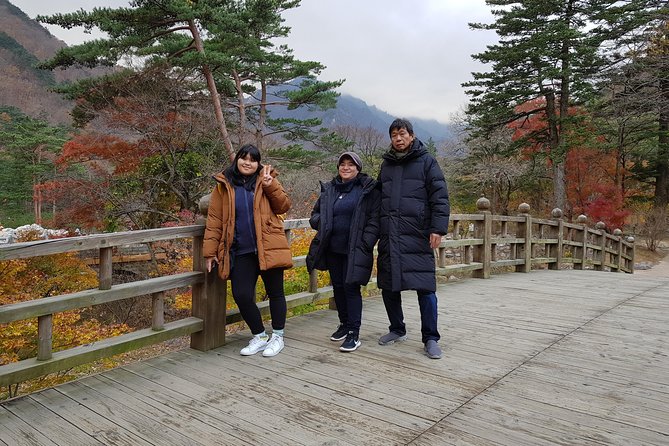 5 Days Tour for Koreas Past and Present(Mt.Seoraksan, Andong, Gyeongju, Busan) - Yeongju and Andong - Day 2 Visit