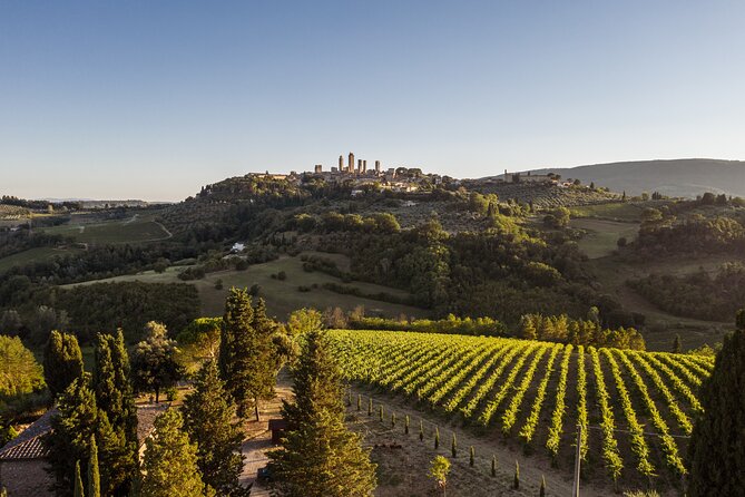 5 Wine Tastings in San Gimignano - Local Wine Varietals to Try