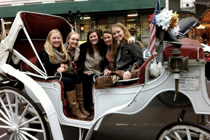 50 Minutes Central Park Horse and Carriage Tour Up to 4 Adults - Meeting Point
