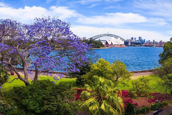 6 Courses of Sydney! the Sydney Tour With an Appetite for Delicious Food & Views - Culinary Delights