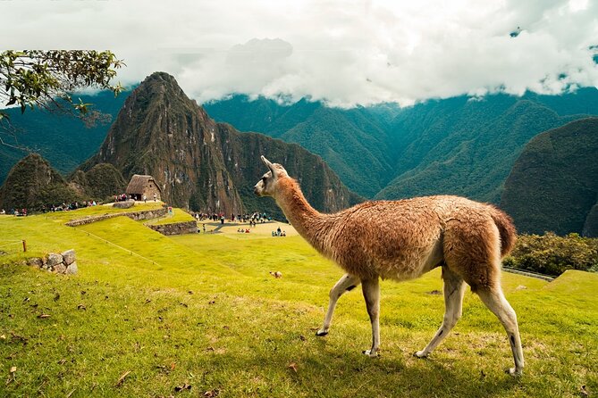 6-Day Tour of Cusco Magico-Machu Picchu-Rainbow Mountain - Cusco Exploration