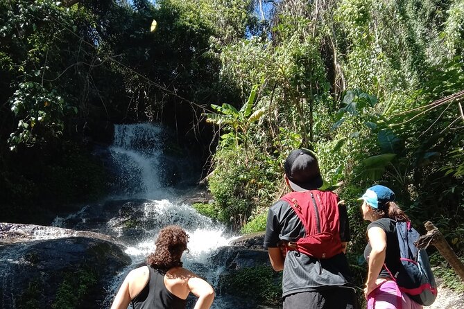 6-Hour Doi Pui Summit Hike in Doi Suthep National Park From Chiang Mai - What to Bring