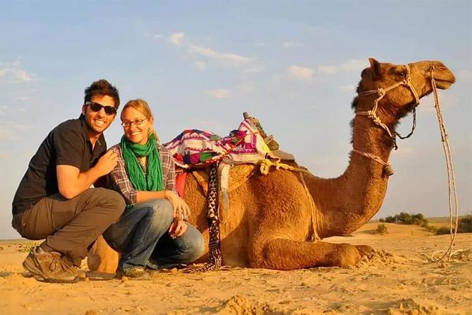 6-Hour Dubai Desert Dinner Safari With Dune Bashing & Camel Ride - Tour Information