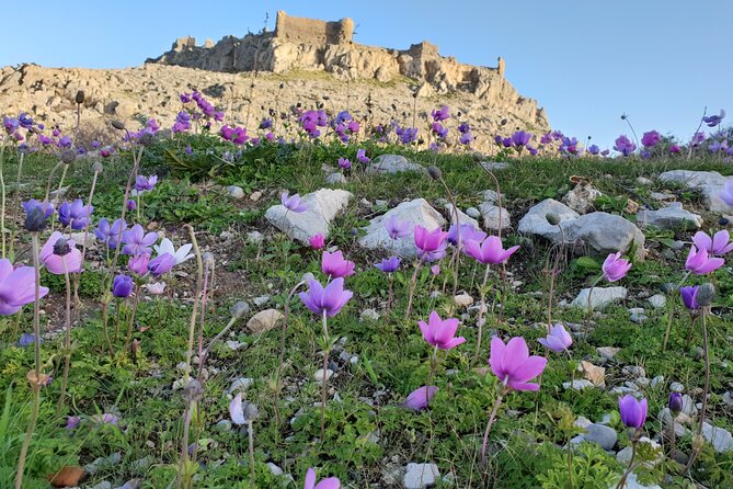 6-Hour Guided Tour in the Main Ancient Attractions of Rhodes - Tour Itinerary and Highlights