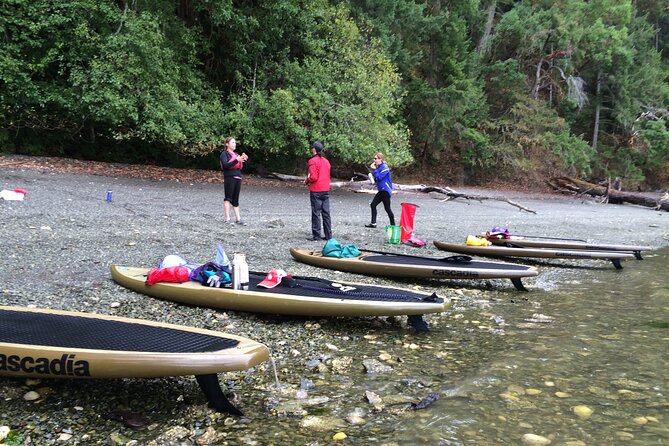 6 Hour SUP Finlayson Arm Fjord - Experienced Guides and Instructors