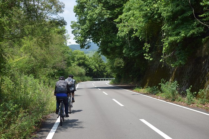 6－Day Cycling Tour in Shikoku - Enjoy Shikokus Best Spots by Bicycle - Accommodations and Stops