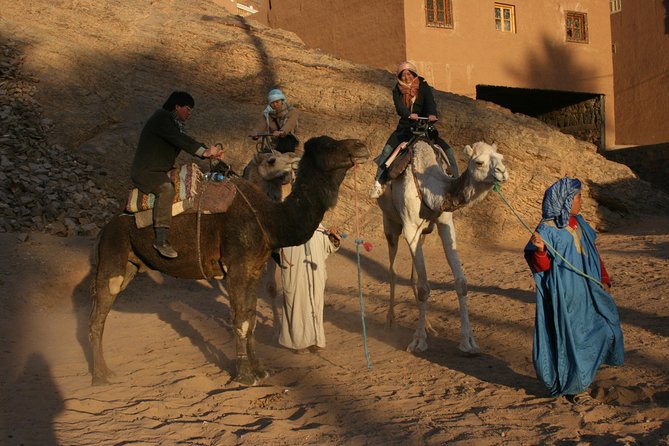 7 Days : From Casablanca to Marrakech via : Fes & Merzouga Desert - Day 1: Casablanca Arrival