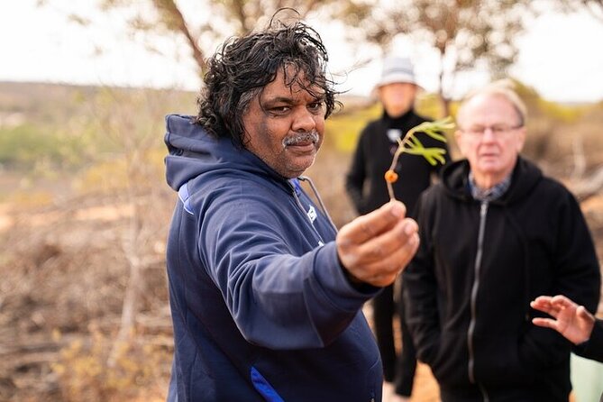 7-Night Murraylands and Wildlife Cruise on the Murray Princess - Cultural Insights