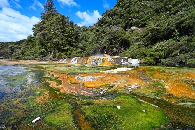 7hr Waimangu Geothermal Valley & Lake Rotomahana Tour - Departs Tauranga - Itinerary Overview