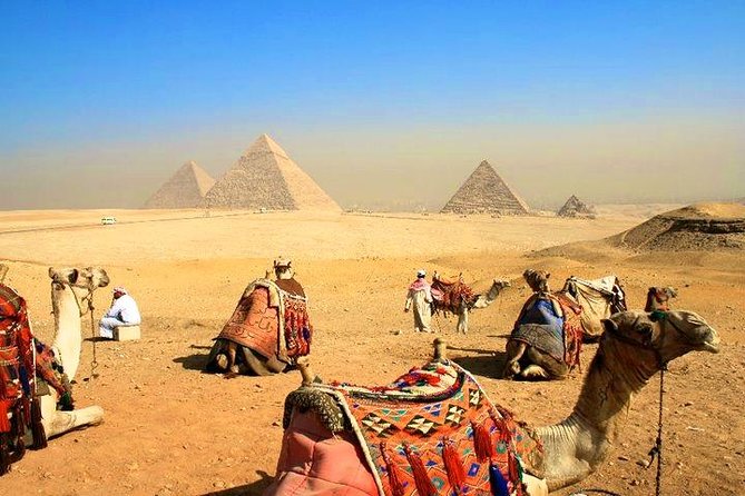 8 Day Stunning Cairo Pyramids and Nile Cruise and Hurghada All Inclusive - Booking Process