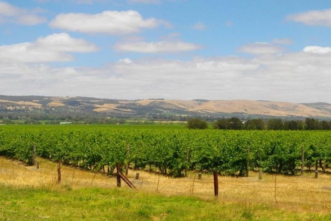 8-Hour Mclaren Vale Winery Tour From Adelaide - McLaren Vale Winery Tour Overview