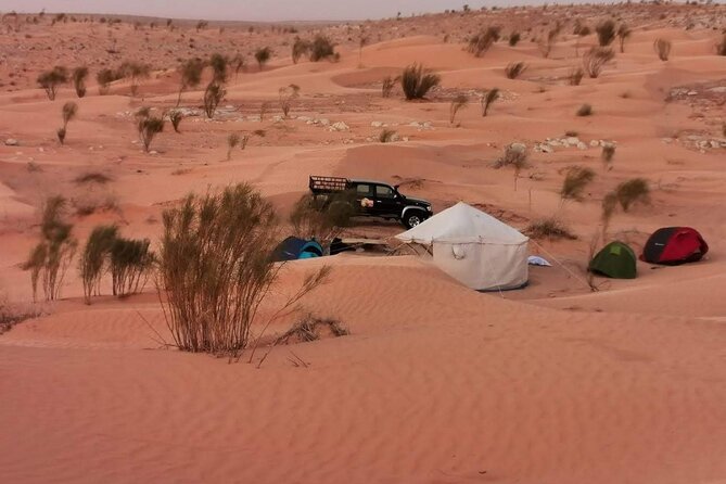 A Private Night at Desert Douz Tozeur - Sunset Camel Ride Experience