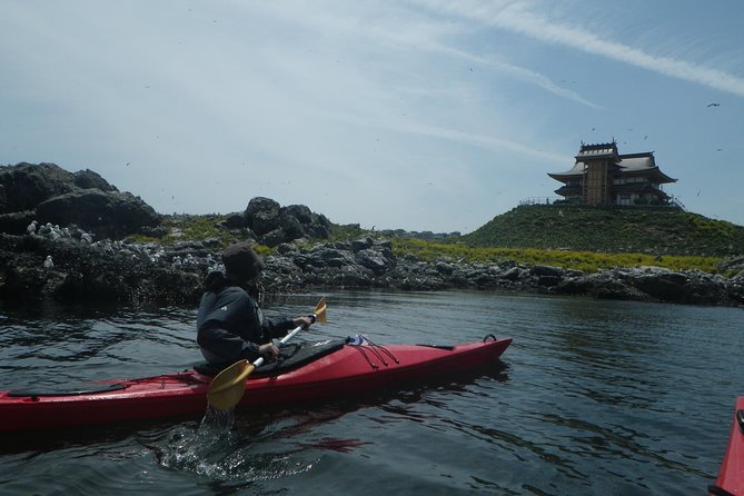 A Sea Kayak Tour of Kabushima Island, the Home of 30,000 Black-Tailed Gulls - Meeting and Pickup Details