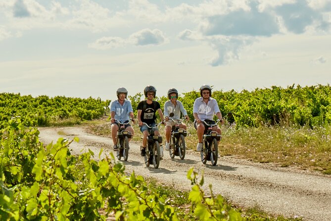 A Tour in Provence in a Typical French Motorized Bike : the Solex - Riding Through Provences Scenic Routes