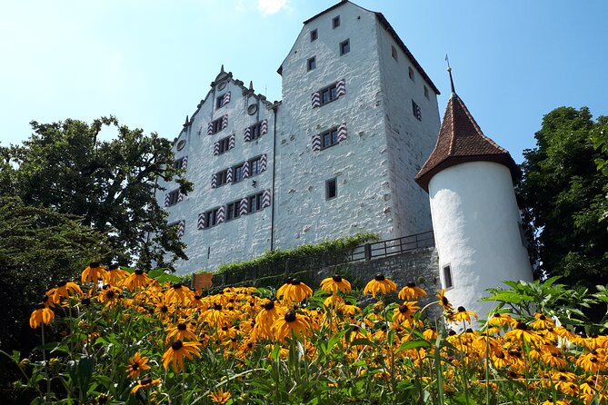 Aargau Foxtrail Castle Wildegg - What To Expect