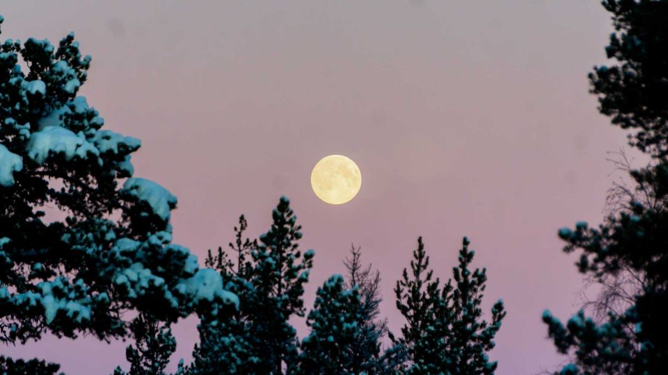 Abisko: Guided Sunrise Morning Hike With Hot Chocolate - Experience Highlights