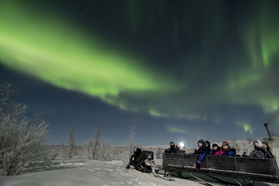 Abisko: National Park Northern Lights Photo Tour - Experience Highlights