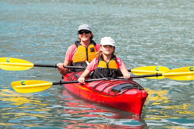 Abu Dhabi Mangrove Kayaking Tour - Reviews and Feedback