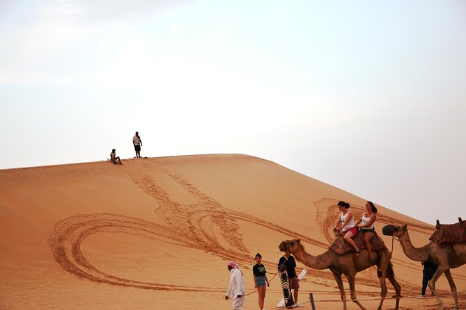 Abu Dhabi Morning Safari - Experience Highlights