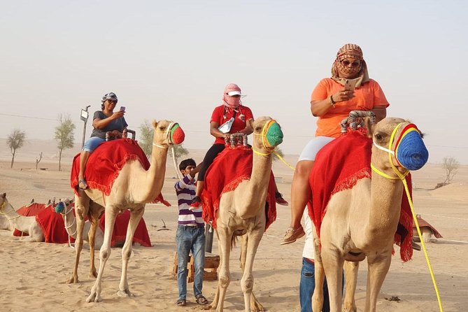Abu Dhabi Tour With Desert Safari, BBQ, Camel Ride From Dubai - Cancellation Policy Information