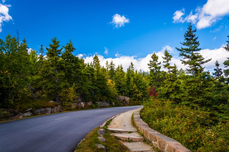 Acadia National Park Self-Guided Driving Tour - Scenic Route Highlights