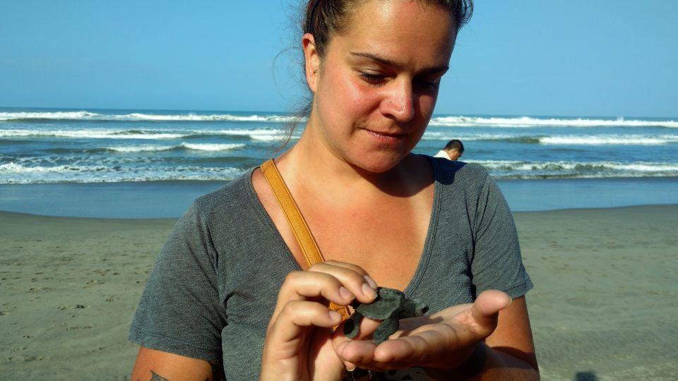 .Acapulco: Baby Turtle Release Tres Palos Lagoon Eco W/Lunch - Duration and Starting Times