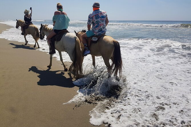 Acapulco Boat Ride With Horseback Ride, Lunch, and Crocs Farm - Cancellation Policy Details