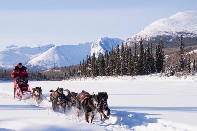 Active Winter Adventure in Yukon 5 Days - Activities and Itinerary