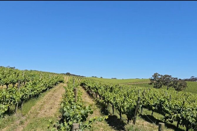 Adelaide Hills Divine Wine Tour - Booking Process