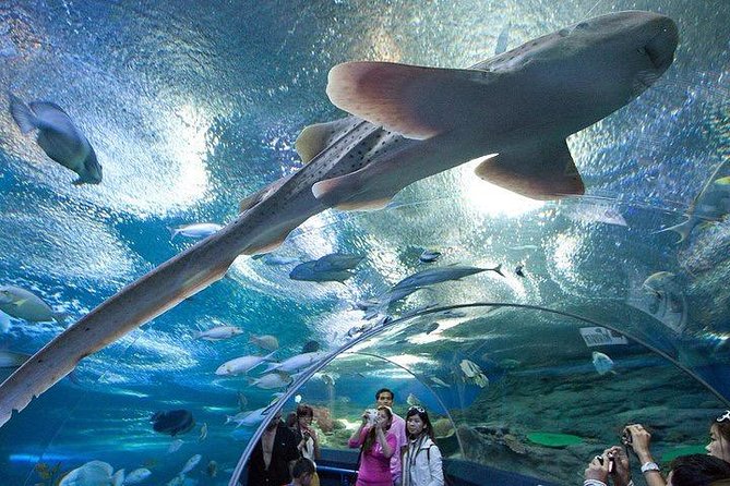 Admission Ticket to Underwater World Pattaya With Return Transfer - Booking Information