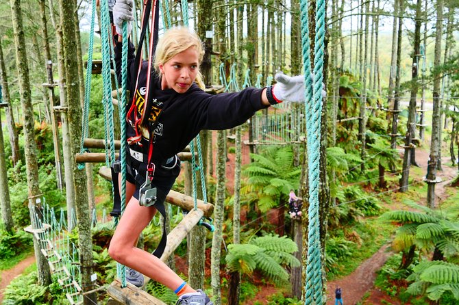 Adrenalin Forest Obstacle Course in Wellington - Inclusions