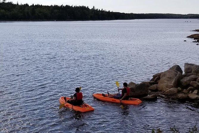 Adult Single Kayak Rental - Inclusions